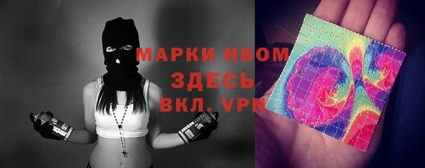 шишки Белокуриха