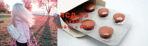 PSILOCYBIN Магадан
