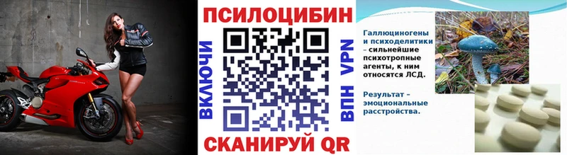 купить наркотик  Выкса  ОМГ ОМГ сайт  Псилоцибиновые грибы Cubensis 