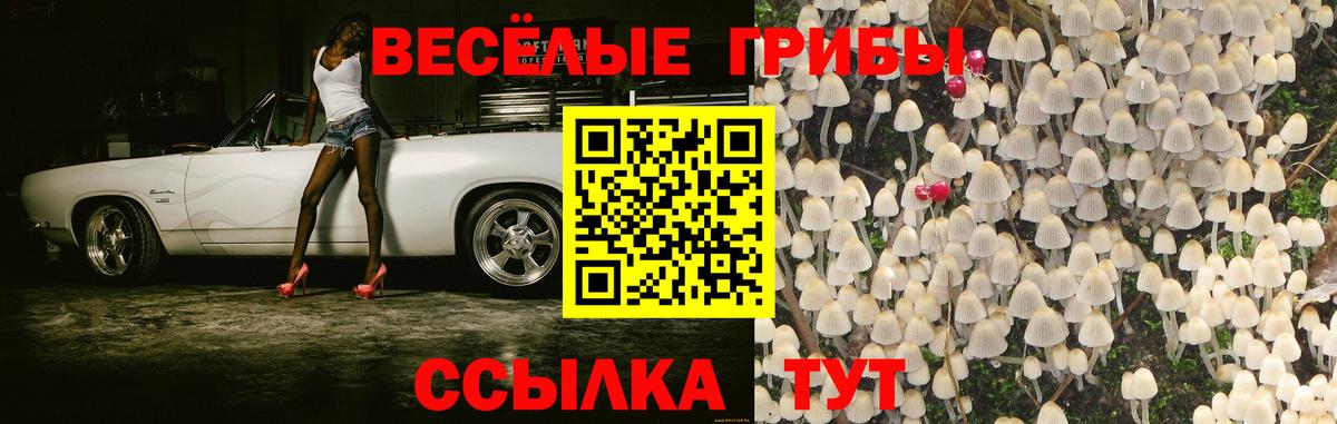 Галлюциногенные грибы Psilocybine cubensis  Вход с VPN  где продают наркотики  Выкса 