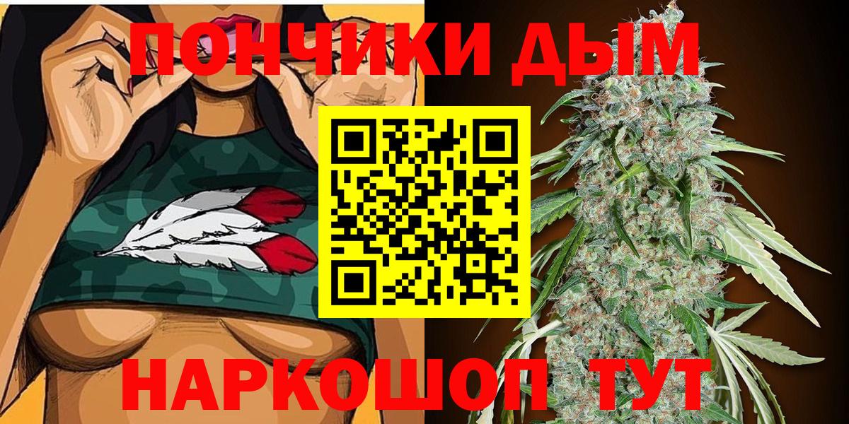 Бошки марихуана сатива  Конопля гибрид  Бошки Шишки планчик  Выкса 